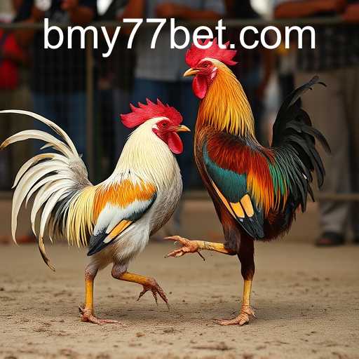 The Complex World of Cockfighting: Tradition vs. Ethics